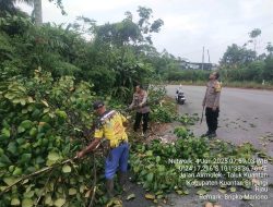 Sinergitas TNI-Polri, Gotong Royong Bersihkan Jalan Akibat Pohon Tumbang di Desa Sako
