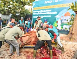 Proses Pemotongan Hewan Kurban di Ancol Berjalan Lancar dan Sesuai Prosedur Kesehatan