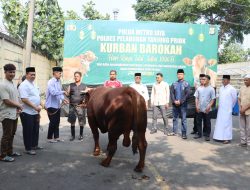 Polres Pelabuhan Tanjung Priok Gelar Penyembelihan Dan Penyerahan Hewan Qurban Idul Adha 1446 H dengan Semangat Keikhlasan dan Kepedulian