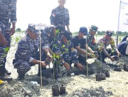 Peduli Keberlangsungan Ekosistem Laut, Lanal Bintan Turut Serta Penanaman 15.000 Bibit Mangrove