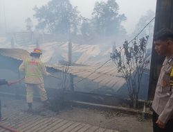 Kandang Ayam Raksasa di Wonosari Ludes Terbakar