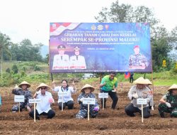 Sinergi Kodaeral IX Ambon, Pemerintah Daerah, dan Lintas Iinstansi Dorong Ketahanan Pangan Melalui Gerakan Tanam Serentak Cabai dan Kedelai