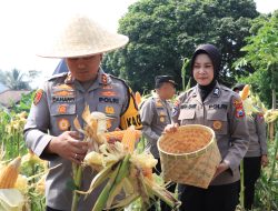 Polres Malang Panen Jagung 1 Ton di Lahan Produktif Mapolsek Tumpang