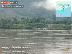 PETI Gila-Gilaan di Kapuas Sanggau, Asip–Awang Diduga Kebal Hukum