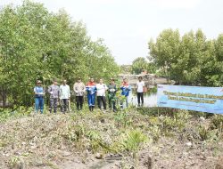 Sinergi Wujudkan Pantai Hijau dan Sungai Bersih, Danlanal Dumai Bersama PT. Pertamina Patra Niaga Laksanakan Penanaman 3000 Bibit Pohon Bakau
