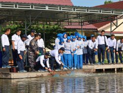 Dari Lahan Yang Terbatas, Pangkalan TNI Angkatan Laut Dumai Buktikan Komitmen Wujudkan Ketahanan Pangan Nasional