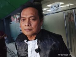 Fariz RM Divonis 10 Bulan Penjara, Kuasa Hukum Siapkan Upaya Bebas Bersyarat