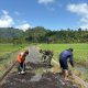 Satgas TMMD-126 Kodim 0818 Bersama AURI dan Warga Siapkan Lahan Pengecoran Jalan Usaha Tani