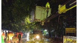 Hadapi Cuaca Ekstrem dan Minimalisir Potensi Bahaya, Tim Satgas Penanganan Pohon Tumbang Jakut Siaga 24 Jam.