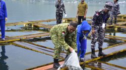 Kodaeral X Tebar Bibit Ikan Nila Untuk Ketahanan Pangan Wilayah di Papua