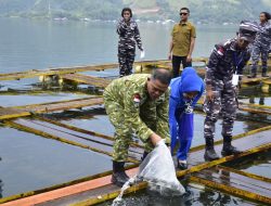 Kodaeral X Tebar Bibit Ikan Nila Untuk Ketahanan Pangan Wilayah di Papua