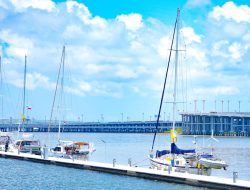 Pelindo Kembangkan Bali Benoa Marina di Kawasan Bali Maritime Tourism Hub (BMTH), Pelabuhan Benoa
