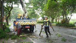 Operasi Zebra Semeru 2025, Satlantas Polres Malang Pangkas Ranting Pohon di Jalibar