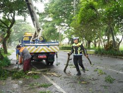 Operasi Zebra Semeru 2025, Satlantas Polres Malang Pangkas Ranting Pohon di Jalibar