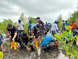Lanal Bengkulu Tanam Satu Juta Mangrove dan Bersih Pantai di Hari Armada