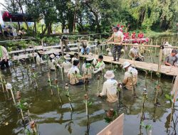 Aksi Nyata HUT ke-58: Kadin DKI Tanam Mangrove dan Bersihkan Sampah di PIK