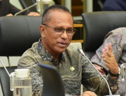 Profil Usman Husin Yang Desak Menhut Raja Juli Antoni Segera Mundur