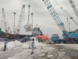 Pelindo Pastikan Aktivitas Sunda Kelapa Kembali Normal Setelah Genangan Rob