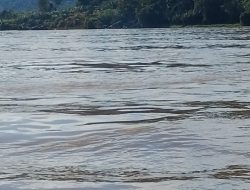 Lanting PETI Kembali Beroperasi di Sungai Kapuas Sanggau, Dugaan Pembiaran Mencuat