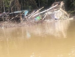 PETI di Kalbar Perlu Perhatian Khusus: Antara Ancaman Lingkungan dan Nafkah Masyarakat