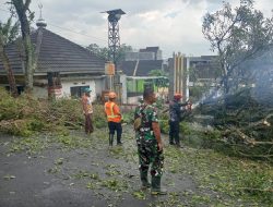 Babinsa Pakisaji Sigap, Penanganan Pohon Tumbang di Perumahan Citra Raya