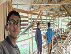 Peternakan Ayam Telur dan Potong di Lebak Menerima Penyaluran KUR dari BRI BO Rangkasbitung, Meningkatkan Produksi Peternakan Lokal