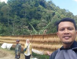 BRI BO Rangkasbitung Salurkan KUR untuk Petani Padi di Lebak, Dukung Peningkatan Hasil Pertanian Lokal