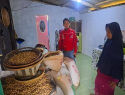 Peningkatan Ekonomi di Lebak: BRI BO Rangkasbitung Salurkan KUR untuk UMKM Pengolah Kacang Tanah