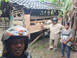 BRI BO Rangkasbitung Salurkan KUR untuk Petani dan Peternak Domba Kambing di Lebak, Meningkatkan Kesejahteraan