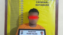 Kapolres Siak AKBP Sepuh Ade Irsyam Siregar Pasang Badan Jaga Investasi, Kapolsek Tualang Tangkap Pencuri Sawit