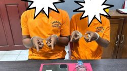 POLSEK RUPAT UTARA BERHASIL TANGKAP DUA PRIA PENGEDAR NARKOBA SATU DPO DI BURU