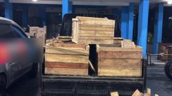 Sikat Rokok Ilegal Lewat Jasa Ekspedisi, Bea Cukai Malang Amankan 196 Ribu Batang