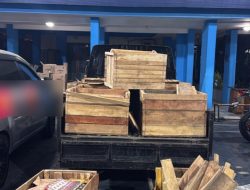 Sikat Rokok Ilegal Lewat Jasa Ekspedisi, Bea Cukai Malang Amankan 196 Ribu Batang