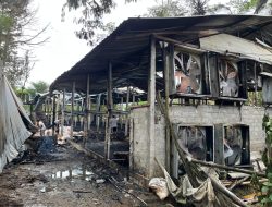 Kandang Ayam Broiler di Kromengan Ludes Terbakar, Kerugian Capai Rp740 Juta