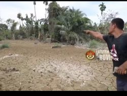 Taruna Akpol Pulihkan Ketahanan Pangan dan UMKM Warga Aceh Tamiang Lewat Pekarangan Pangan Lestari