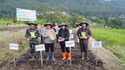 Dukung Ketahanan Pangan Nasional, Dandim 0818 dan Forkopimda Kota Batu Gelar Tanam Raya Jagung