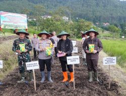 Dukung Ketahanan Pangan Nasional, Dandim 0818 dan Forkopimda Kota Batu Gelar Tanam Raya Jagung