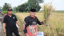 Transformasi Kabupaten Malang pada Momentum Satu Tahun Malang MAKMUR Berkelanjutan