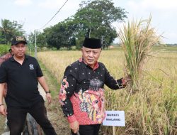 Transformasi Kabupaten Malang pada Momentum Satu Tahun Malang MAKMUR Berkelanjutan