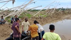 Gotong Royong Warga Dusun Rantau Panjang, Desa Sijudo Perbaiki Jalan Rusak Pascabanjir