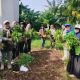 Panen Bareng PKK Pokja 3 Hasil Kebun Warga Sungai Bambu Kini Bisa Dinikmati
