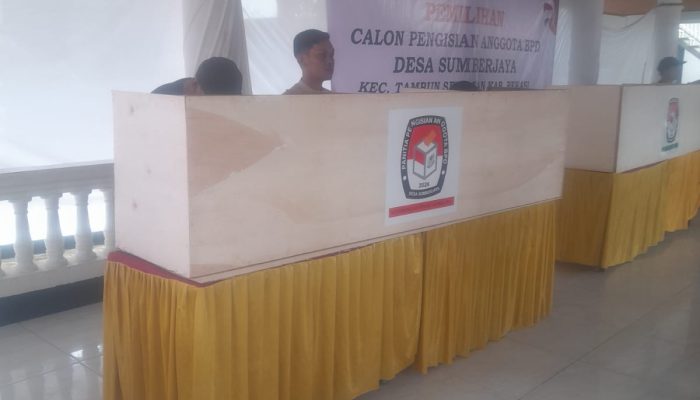Pemilihan Calon Pengisian Anggota BPD Desa Sumberjaya Berjalan Demokratis dan Transparan