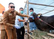 Jelang Idul Adha, Walikota Wahyu Pastikan Hewan Kurban telah Melalui Pemeriksaan Kesehatan