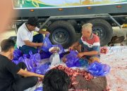 Mengetuk Pintu Berkah: Polres Tojo Una-Una Tebar Kedamaian Lewat 9 Sapi Qurban untuk Warga