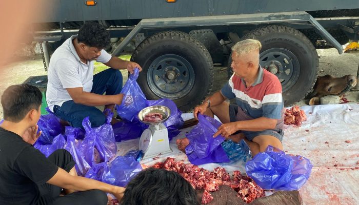 Mengetuk Pintu Berkah: Polres Tojo Una-Una Tebar Kedamaian Lewat 9 Sapi Qurban untuk Warga