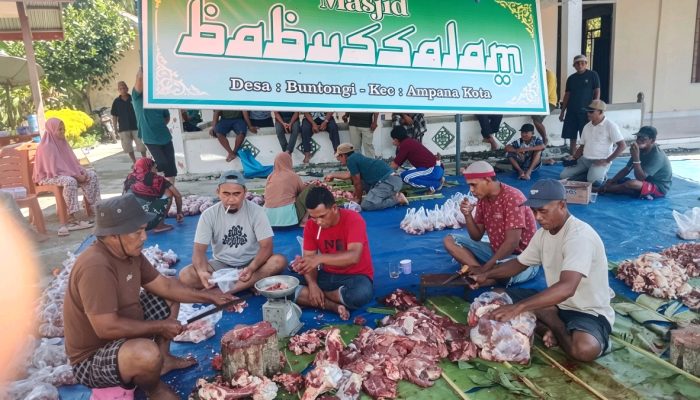 Heboh! Warga Miskin Desa Buntongi “Menelan Ludah”, 3 Sapi Wurban di Masjid Babussalam Diduga Milik Kelompok Pribadi.