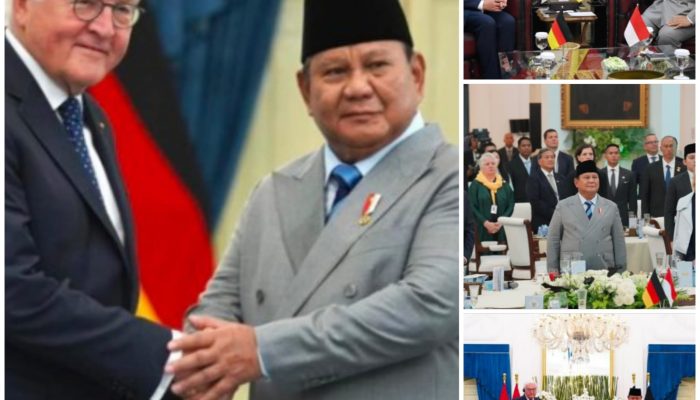 Prabowo – Presiden Jerman Sepakat Perkuat Kemitraan Strategis, IEU-CEPA Jadi Fokus Utama