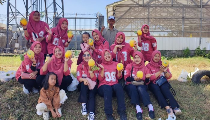 Liburan Jadi Lebih Bermakna, Persit Koramil Pakisaji Belajar Pertanian Modern Sambil Panen Melon