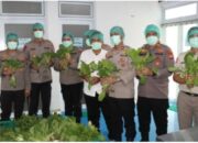 Polda Metro jaya Panen 82 kilo gram Pakcoy Dukung program Makan Bergizi Gratis