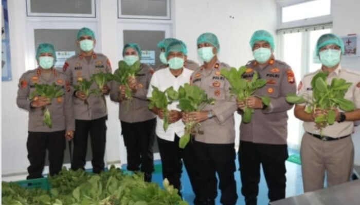 Polda Metro jaya Panen 82 kilo gram Pakcoy Dukung program Makan Bergizi Gratis